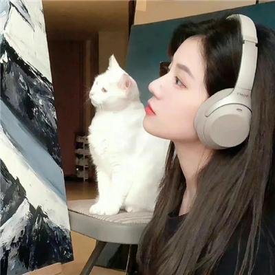 大楼里只有谋杀第四季