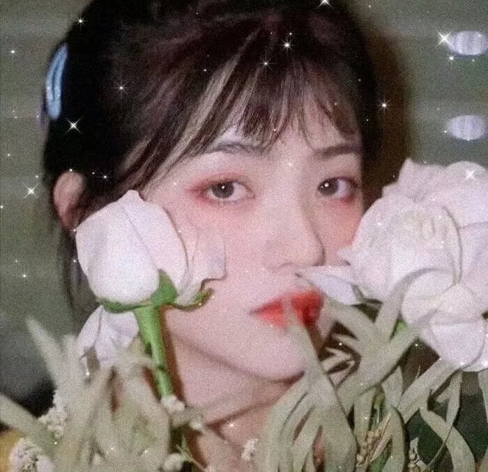 病毒2018